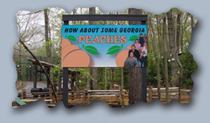 miniature_billboard