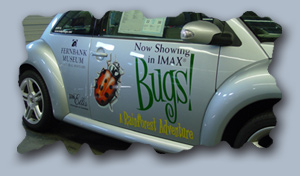 vw_bug_car_decals