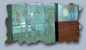 mall_retail_window_lettering