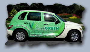 pt cruiser partial wrap